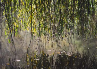 Loire – Couleurs